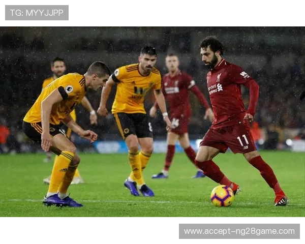 布伦特福德俱乐部最新动态解析球队未来发展趋势