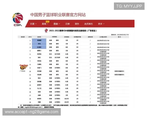 全面解析篮球比赛数据背后的技术指标与球员表现趋势